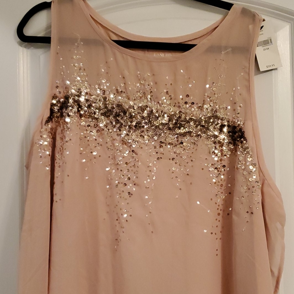 Beautiful sparkly pale pink blouse - Picture 2 of 2